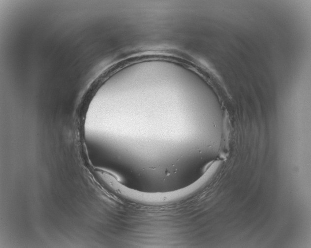 X0000066121360200603311525