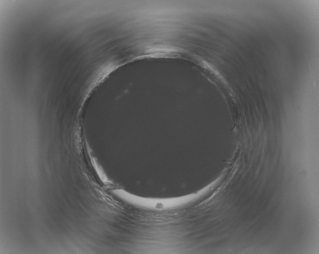 X0000066121362200603311525