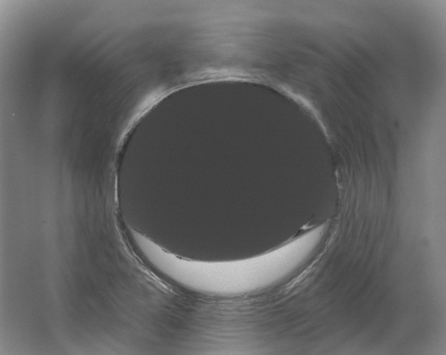 X0000066121365200603311525