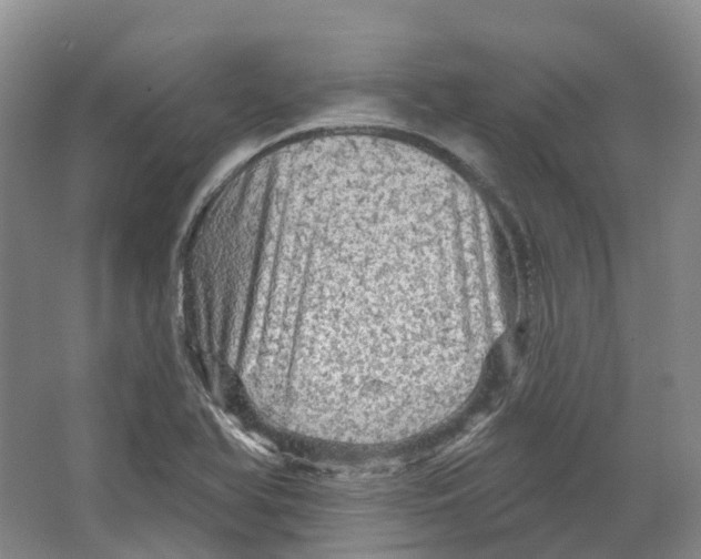 X0000066121366200603311525