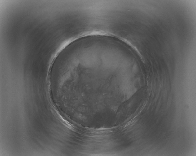 X0000066121367200603311525