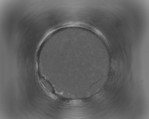 X0000066121368200603311524