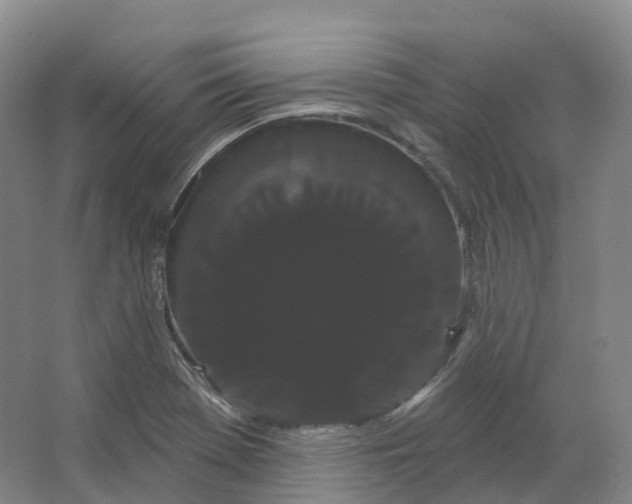 X0000066121369200603311524