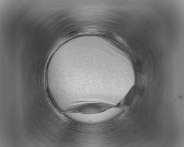 X0000066121370200603311524