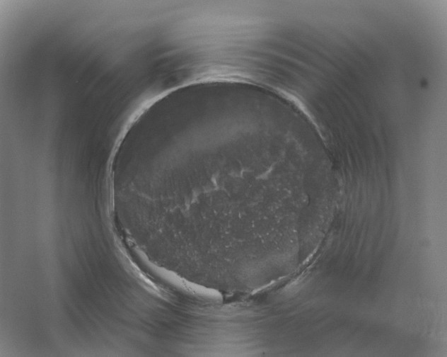 X0000066121371200603311524