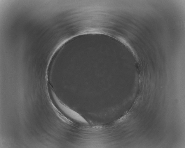 X0000066121372200603311524