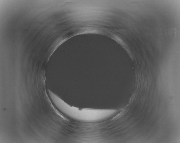 X0000066121377200603311524