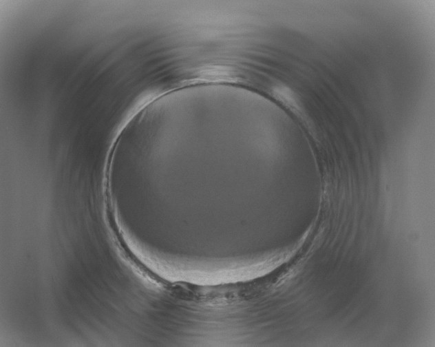 X0000066121378200603311524