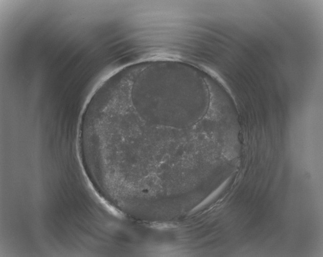 X0000066121379200603311524