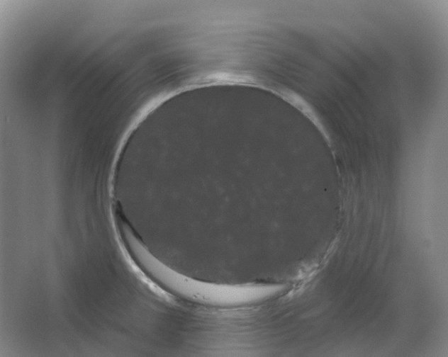 X0000066121381200603311524