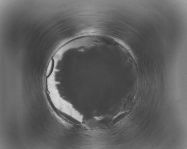 X0000066121383200603311524