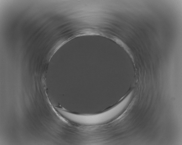 X0000066121385200603311524