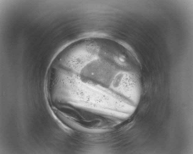 X0000066121391200603311524