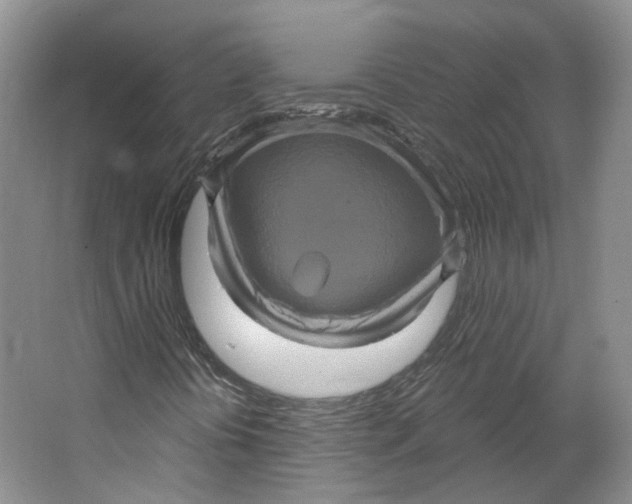 X0000066121394200603311523