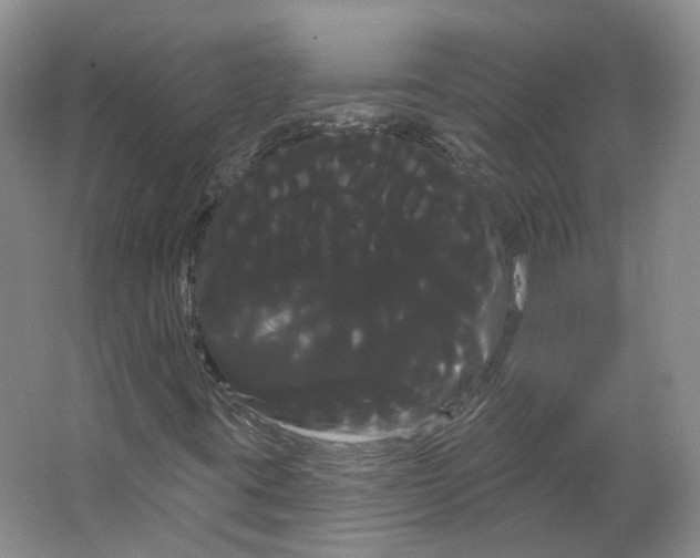 X0000066121395200603311523