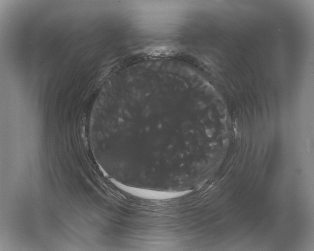 X0000066121396200603311523