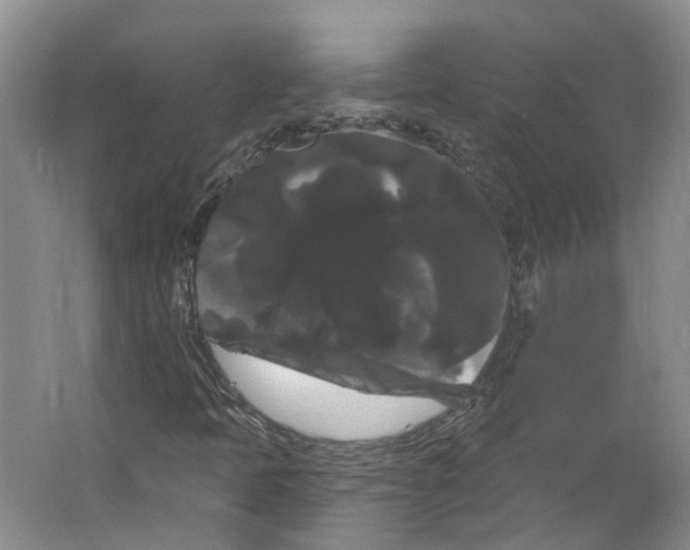 X0000066121397200603311523