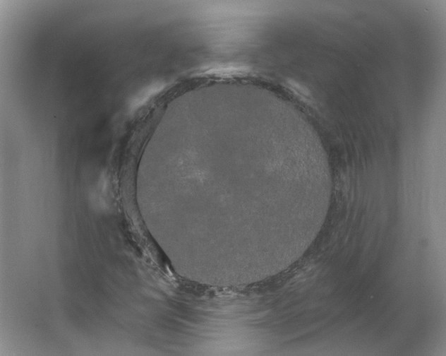 X0000066121398200603311523