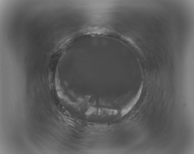 X0000066121399200603311523