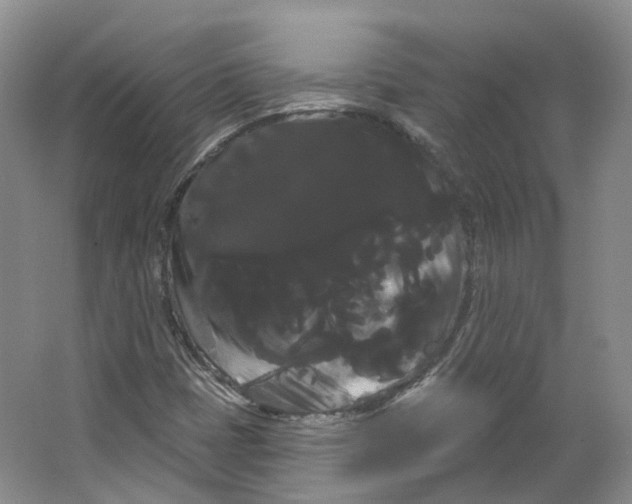 X0000066121401200603311523