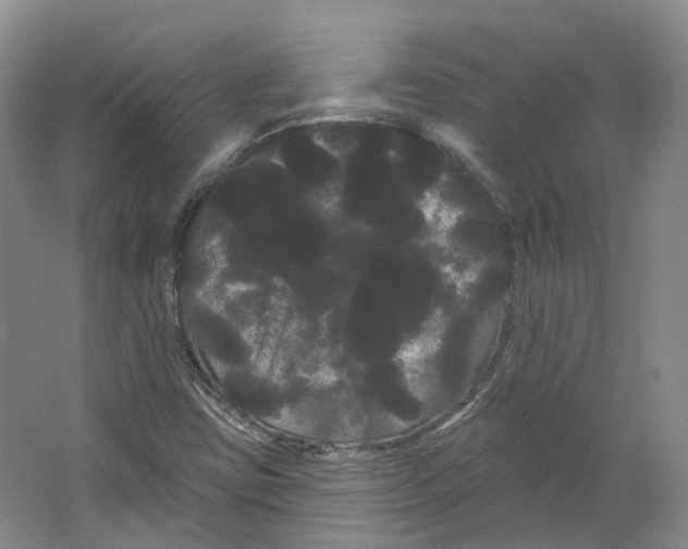 X0000066121403200603311523