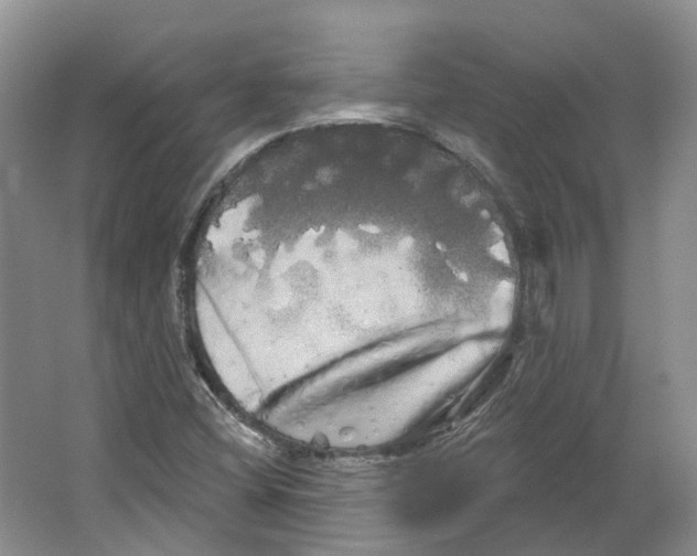 X0000066121404200603311523