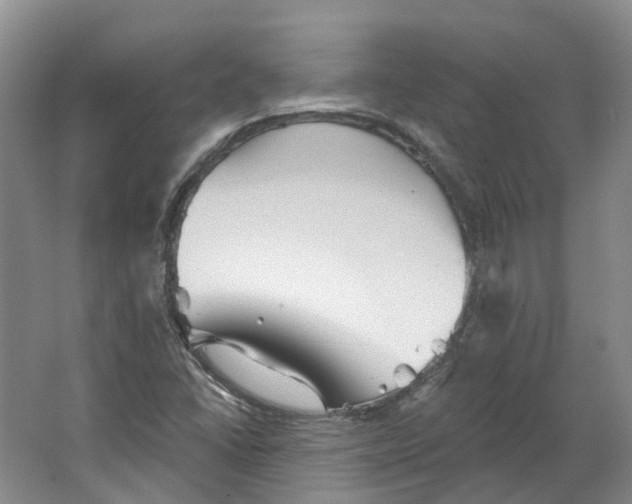 X0000066121406200603311524