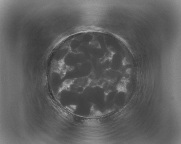 X0000066121407200603311524