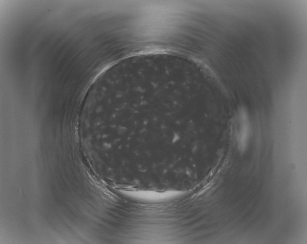 X0000066121409200603311524