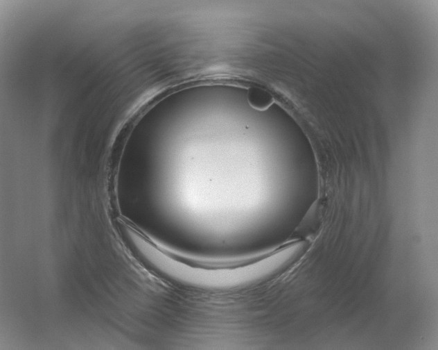 X0000066121410200603311524