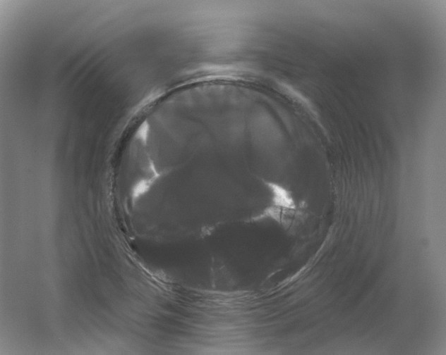 X0000066121411200603311524