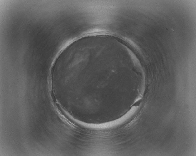 X0000066121413200603311524