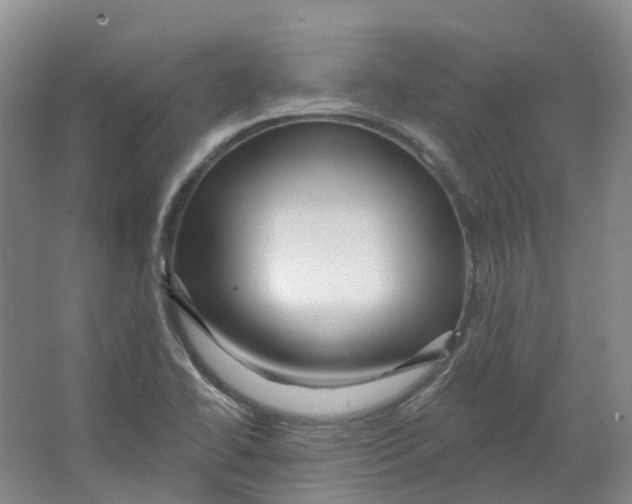 X0000066121414200603311524