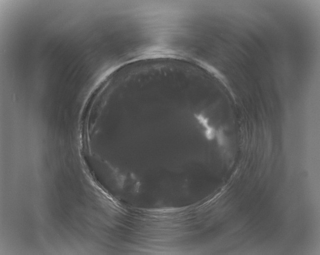 X0000066121415200603311524