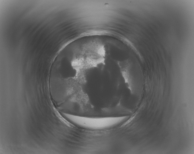 X0000066121417200603311524