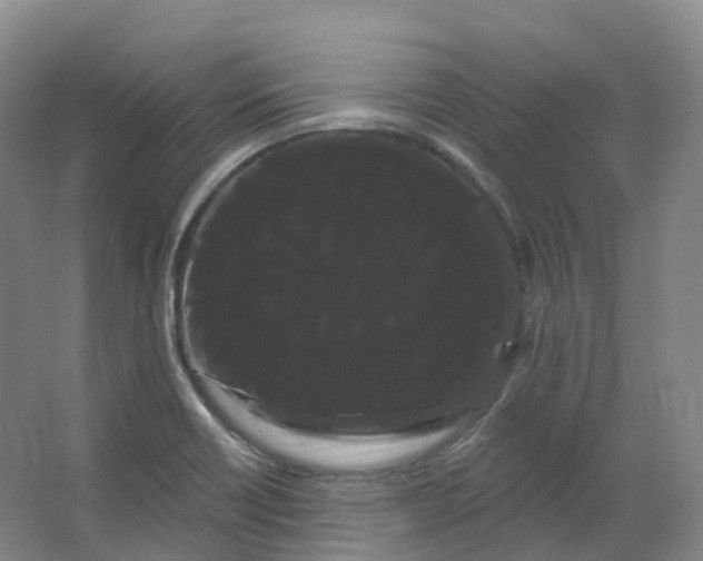 X0000066121418200603311524