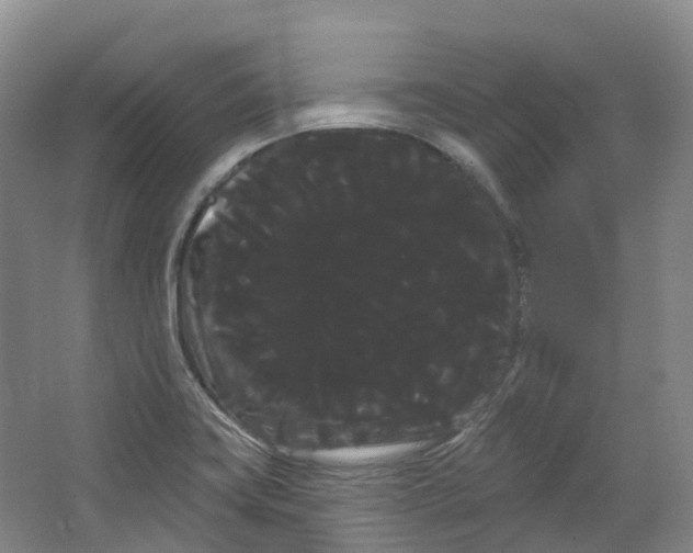 X0000066121419200603311524