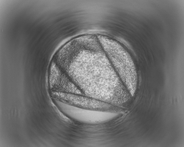 X0000066121420200603311524