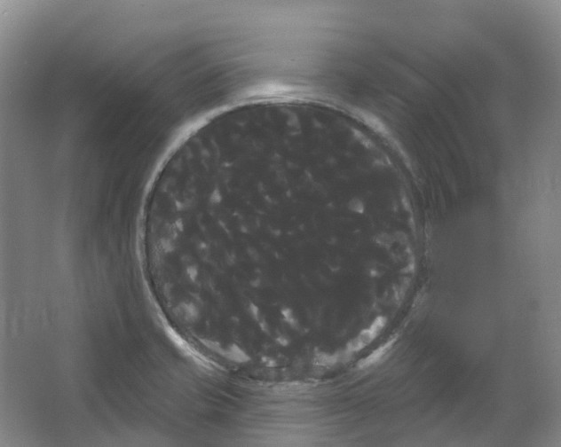 X0000066121421200603311524