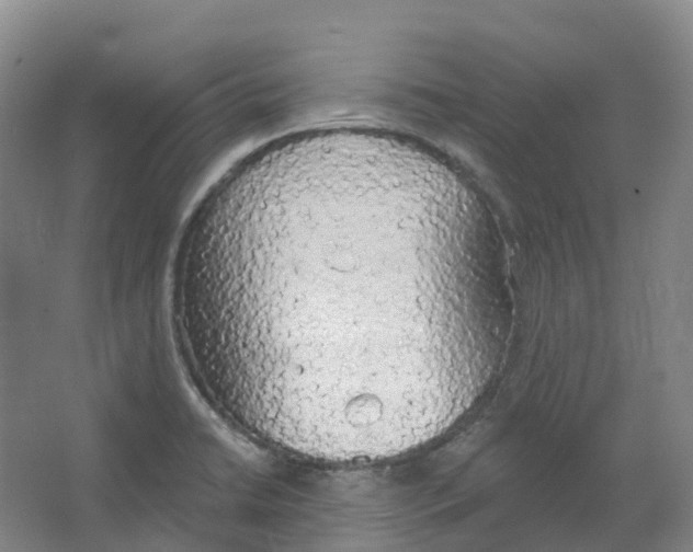 X0000066121422200603311524