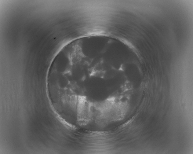 X0000066121423200603311524