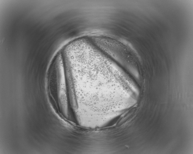 X0000066121424200603311524