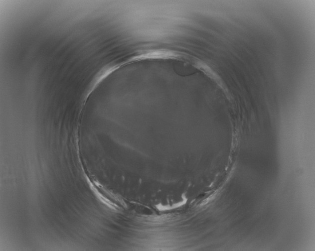 X0000066121425200603311524