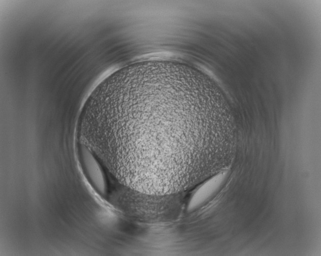 X0000066121426200603311524