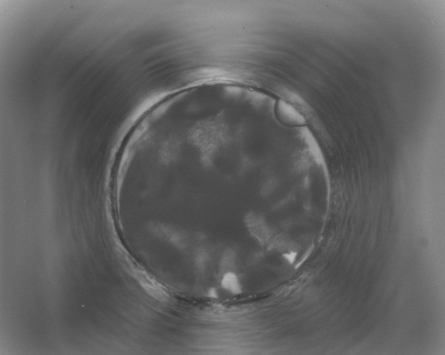 X0000066121427200603311524