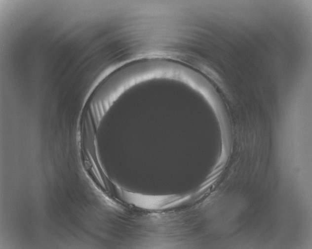 X0000066121428200603311524