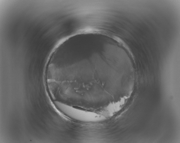 X0000066121429200603311524