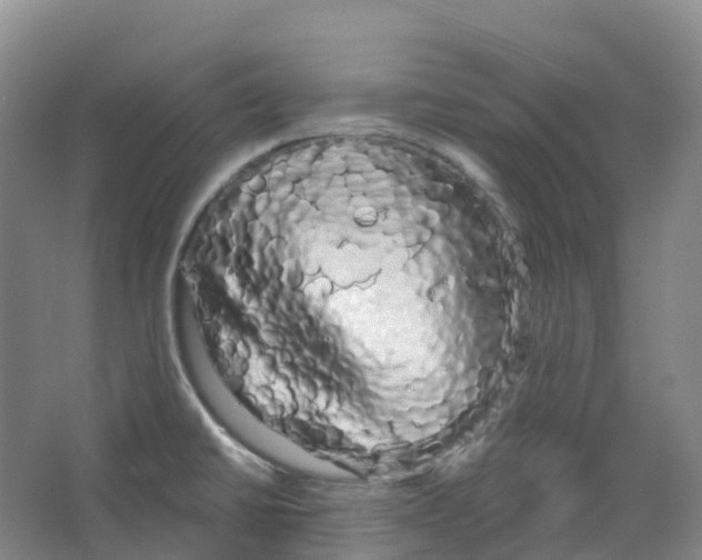 X0000066121430200603311524