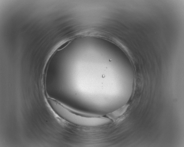 X0000066121434200603311524