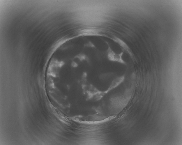 X0000066121435200603311524